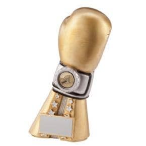 The Golden Glove